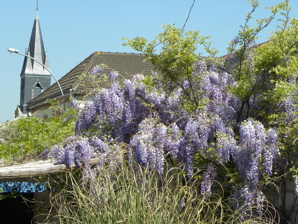 Hotel Entre Cour Et Jardin Châlons-en-Champagne Exteriér fotografie